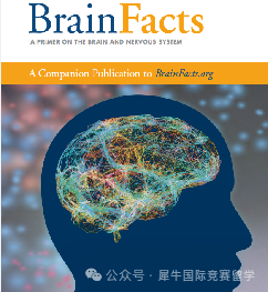 Brain bee脑科学大赛最全解读！规则/含金量/备考资料一文详解