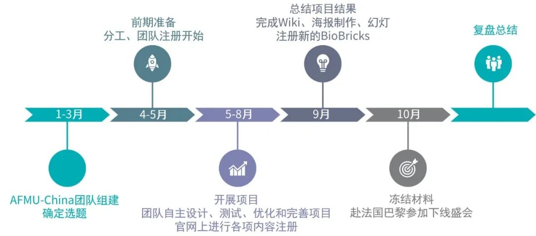 【干货】为什么iGEM要15-25人一组？iGEM组队角色分工说明~