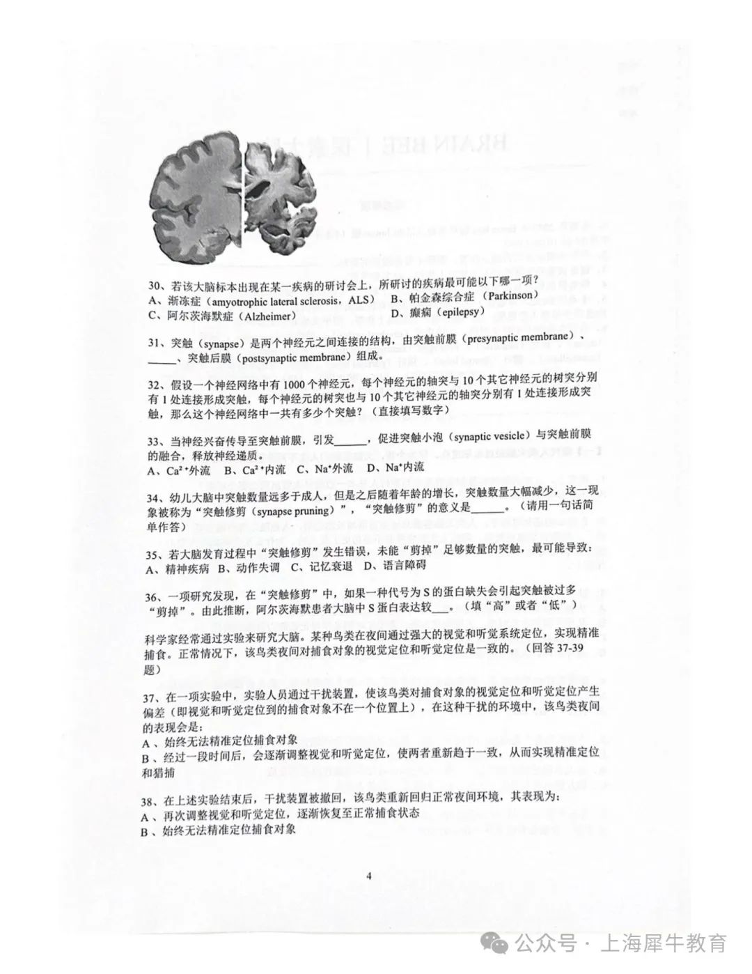 2025年Brain Bee地区赛活动安排（附考试真题+书籍资料领取）