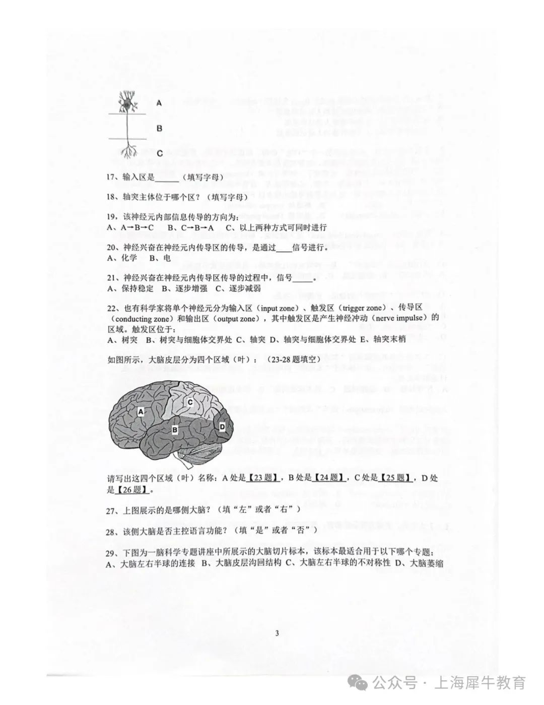 2025年Brain Bee地区赛活动安排（附考试真题+书籍资料领取）