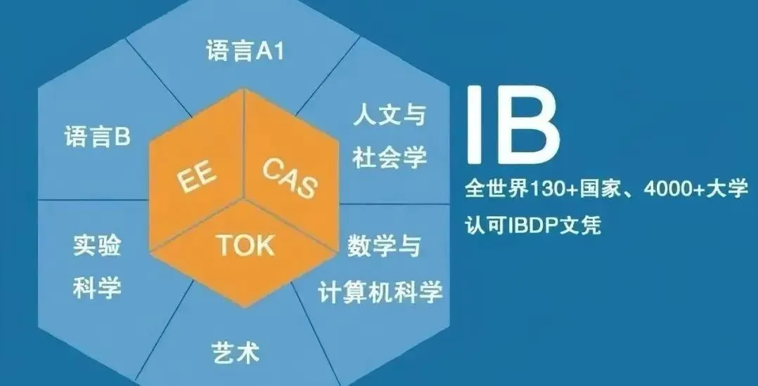 组班！IB/AP寒假课程这些学科预习班热报中