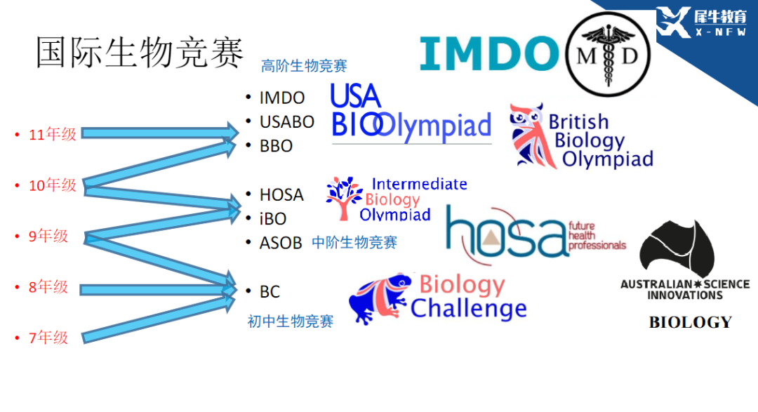 USABO和BBO生物竞赛区别一文详解！机构生物竞赛直通车课程~