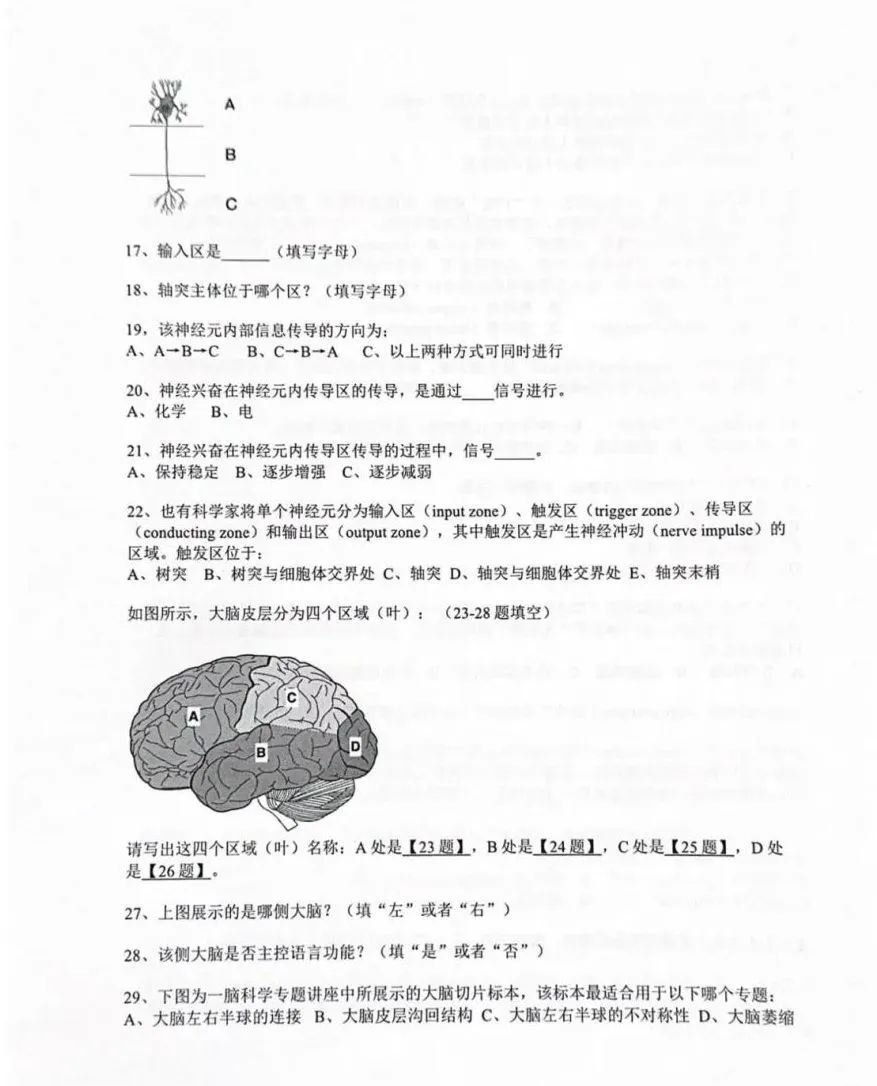 2025Brain Bee竞赛考试大纲：附Brain Bee竞赛真题