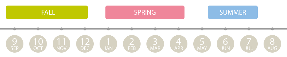 错过美研秋季入学，26Spring春季申请是否值得一冲？