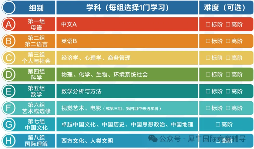 一文拿捏你不知道的IB课程选课技巧！