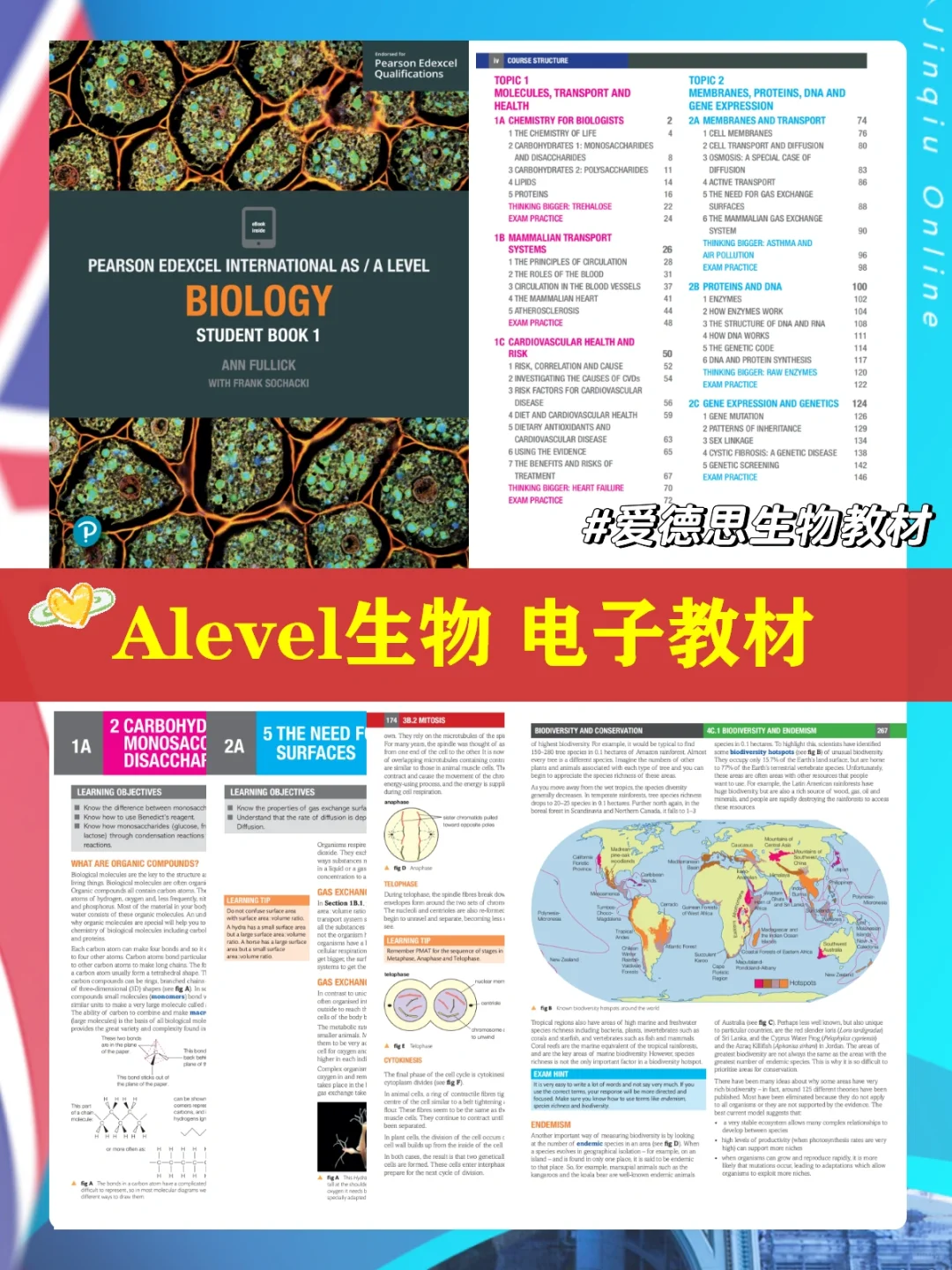 Alevel生物难在哪？三大考试局之Alevel生物考情分析！内附Alevel生物高频考点与备考书籍