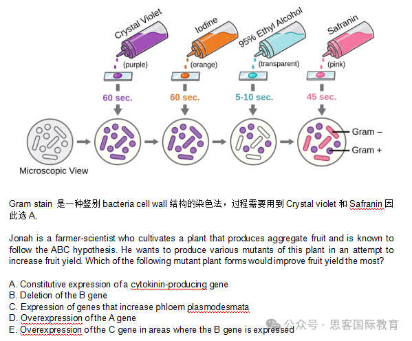 美国生物奥赛USABO终极冲刺指南！附USABO竞赛辅导课程