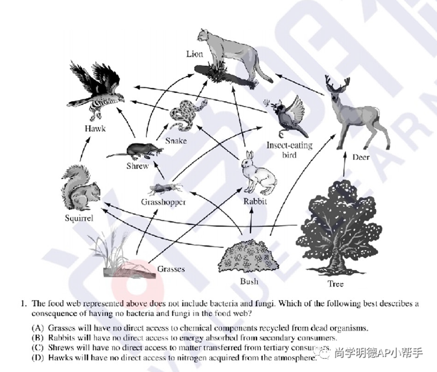 2025AP备考 | AP生物考试分析及各单元重难点梳理