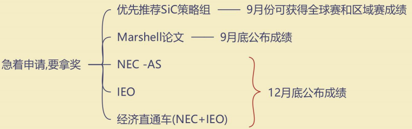 从NEC到IEO，经济竞赛如何规划？