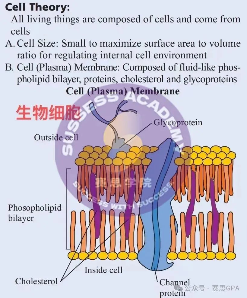 2025 BBO竞赛得奖秘籍！目标生物/医学专业的同学必冲~