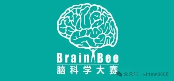 一文讲清小学生都能参加的BrainBee脑科学大赛！