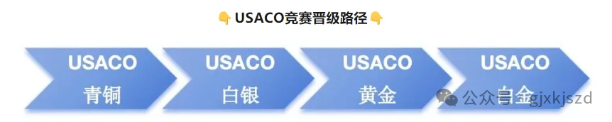 USACO竞赛零基础怎么备考？机构USACO培训课程来助力，名师带队，轻松晋级铂金