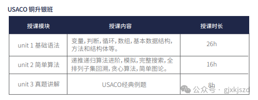 USACO竞赛零基础怎么备考？机构USACO培训课程来助力，名师带队，轻松晋级铂金