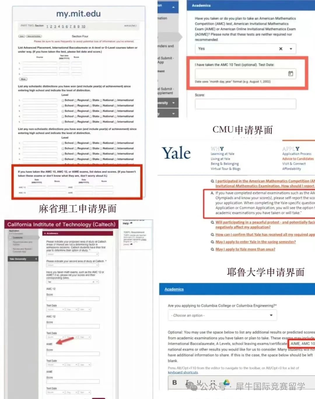 AMC10竞赛数学竞赛前1%，不同基础怎么准备？