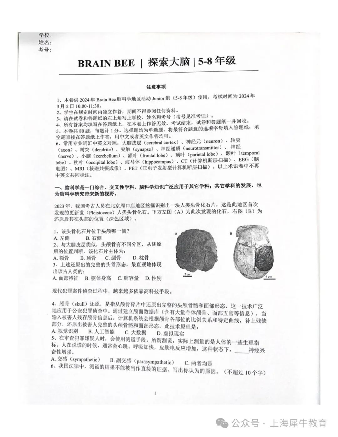 2025年Brinbee脑科学活动时间轴（附2024年完整真题）