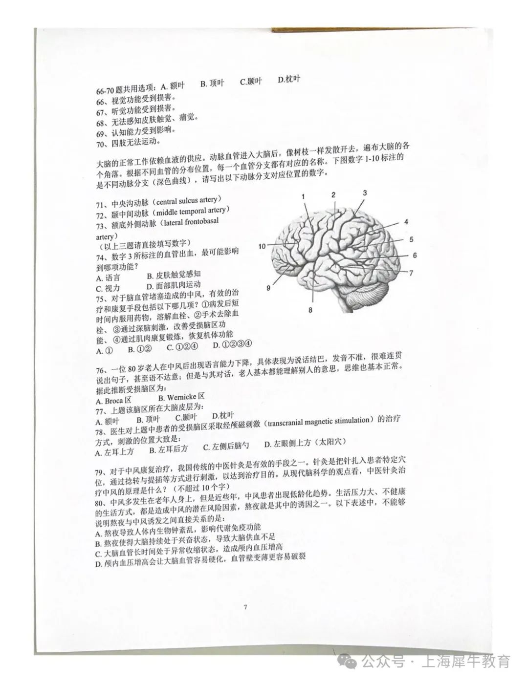 2025年Brinbee脑科学活动时间轴（附2024年完整真题）