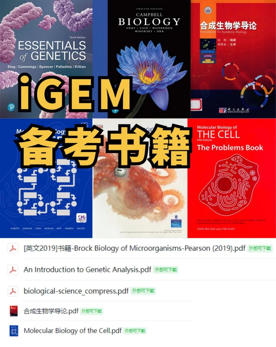 周六---【iGEM高中组】报名费用是多少？2025年igem比赛流程、组队分工介绍~附备赛资料