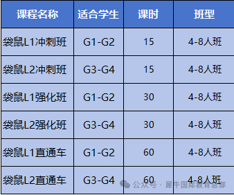 袋鼠数学冲刺课程来袭！2025袋鼠数学备考规划