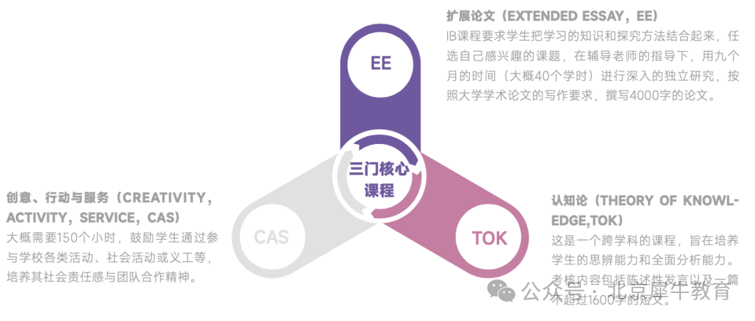 北京娃不学IB太吃亏！IB课程怎么选？IB都有哪些课程？一文讲透IB，内附IB热门学科资料！