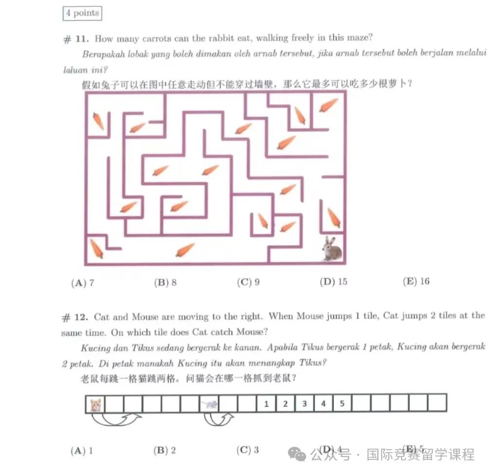 倒计时！袋鼠竞赛的高频考点有哪些？考前如何冲刺备考袋鼠竞赛？