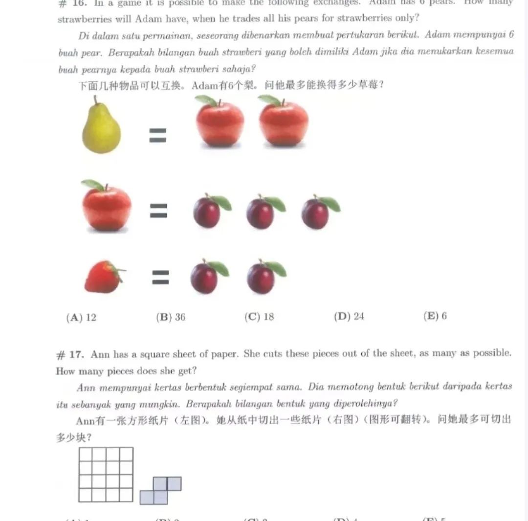 倒计时！袋鼠竞赛的高频考点有哪些？考前如何冲刺备考袋鼠竞赛？