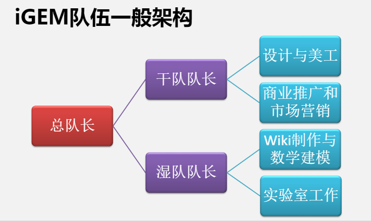 2025参加iGEM生物竞赛，你需要知道这些！