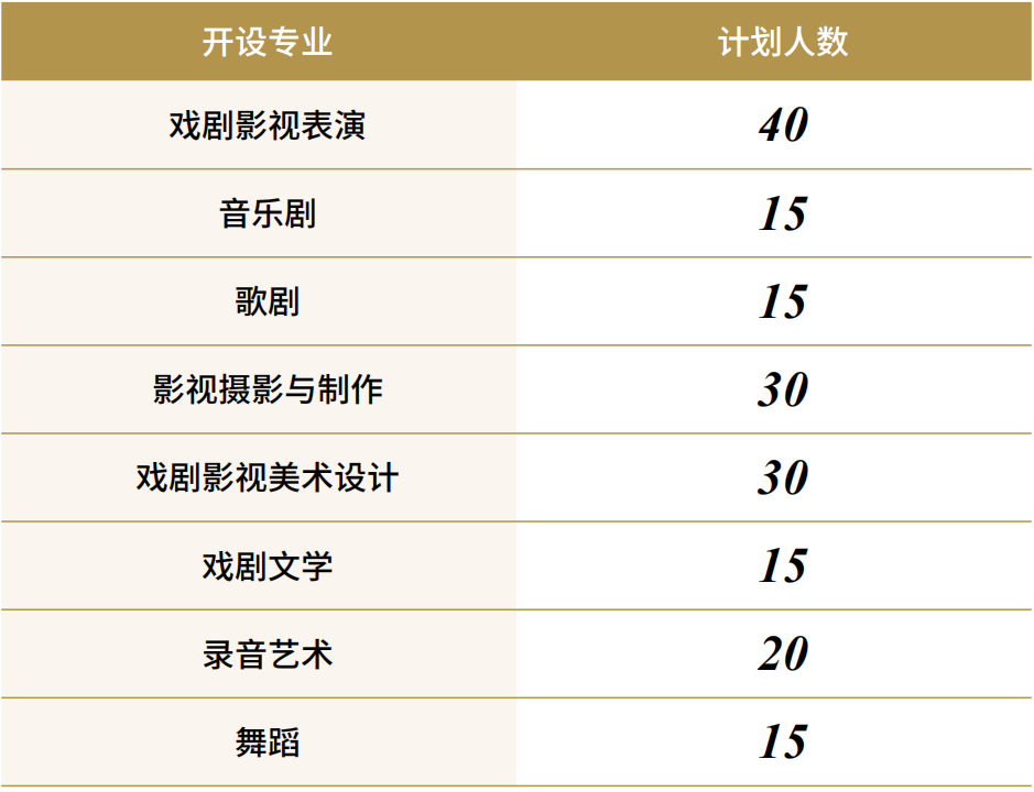 中央戏剧学院丨 2+2国际本科(学分豁免)项目