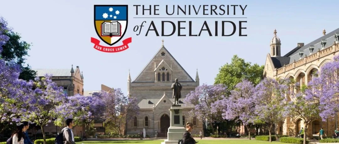 澳洲阿德莱德大学(Adelaide)博士申请攻略及PhD导师简介