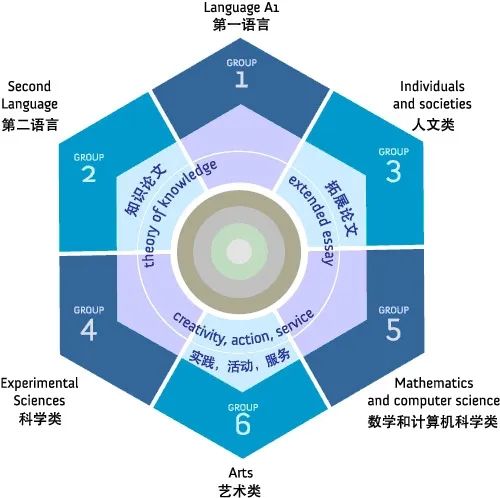 ib课程怎么学才最有效？带你梳理IB备考底层逻辑