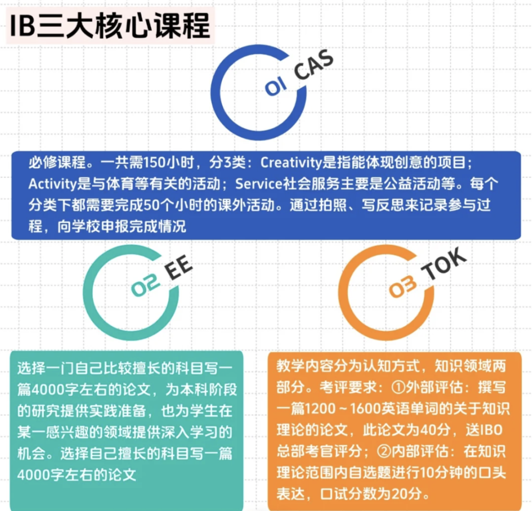 藤校录取数据揭秘！IB课程选课建议：避开这3大误区，HL组合+EE选题直接决定Offer成败