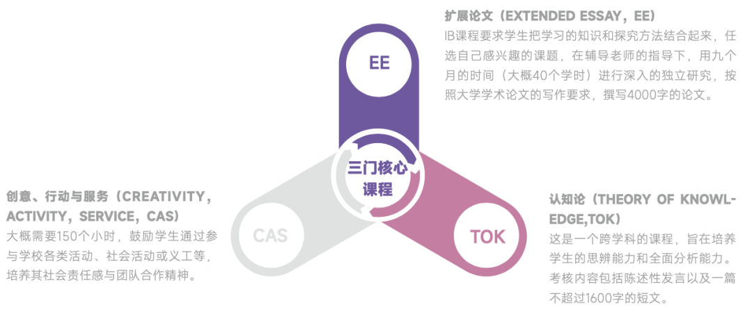 上海IBDP课程体系一文讲通！IB适合哪些孩子？