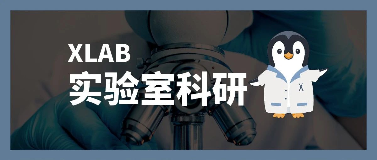 生物医学/生物/化学/物理/计算机：最热门科研专业方向25年暑期全档期开放！