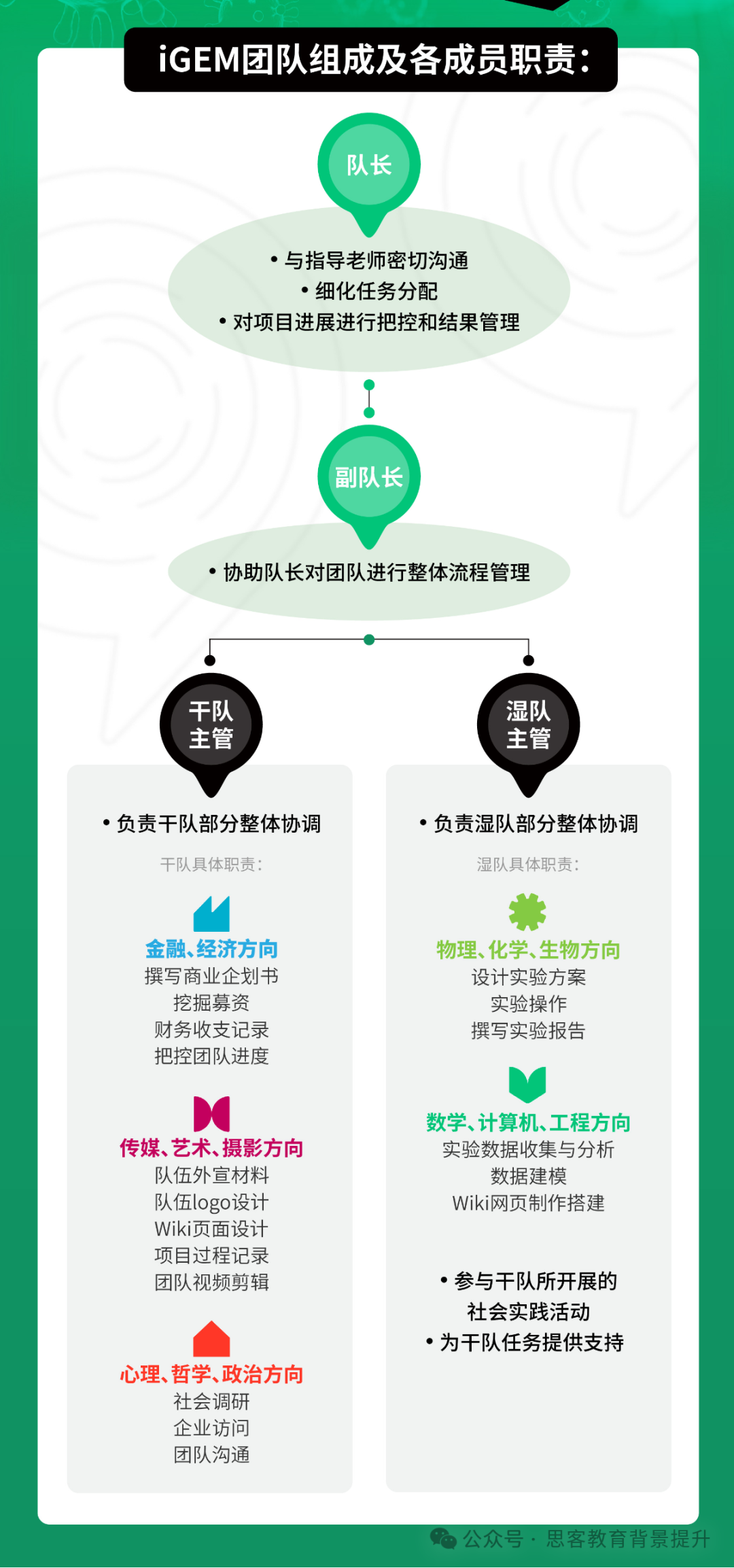 iGEM适合几年级学生参加？iGEM团队分工是怎样的？