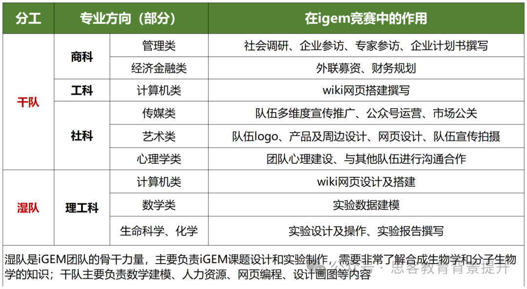 iGEM适合几年级学生参加？iGEM团队分工是怎样的？