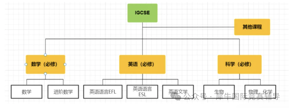 IGCSE课程如何选课不踩雷？黄金衔接Alevel/IBDP的IG课程，附IGCSE资料