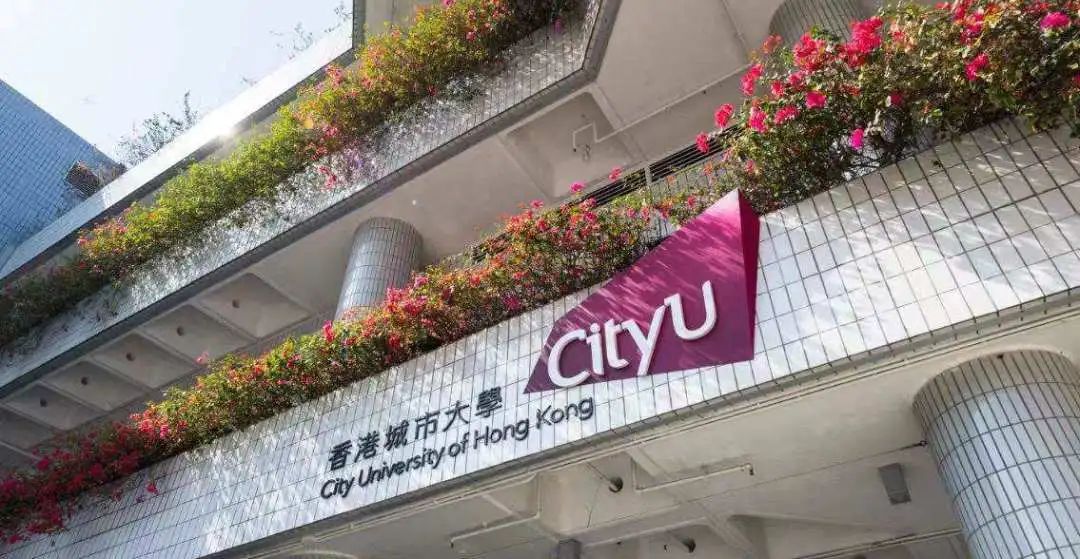 博士申请攻略 | 香港城市大学 (CityU)PhD导师简介（441）