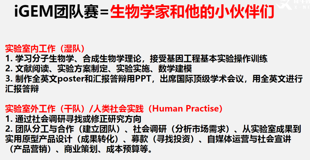 申生物医学专业必备！机构iGEM组队+培训了解一下？附25年iGEM高中组新规