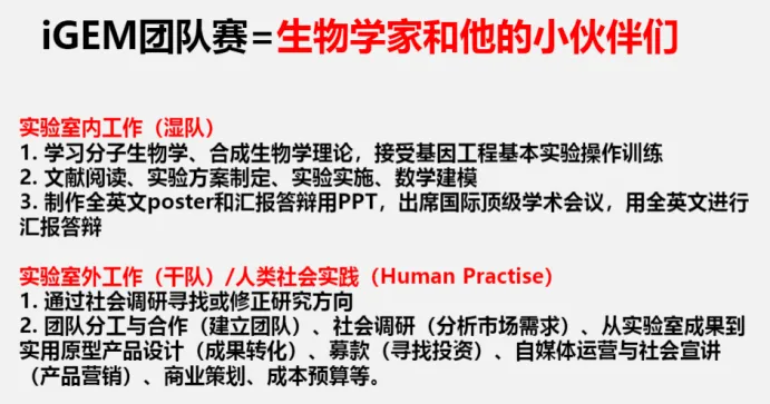 iGEM国际基因工程机器大赛是什么？一文看明白考试流程~