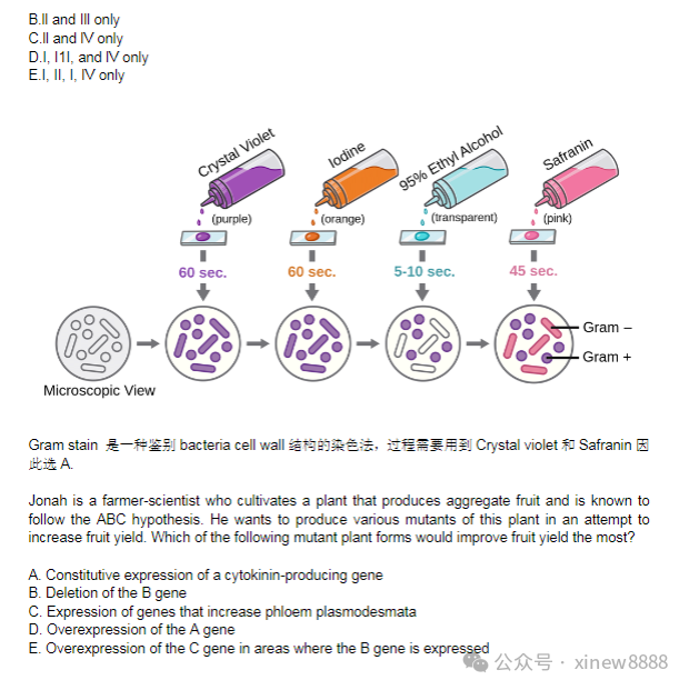 USABO&BBO生物竞赛考前冲刺班/特训班！