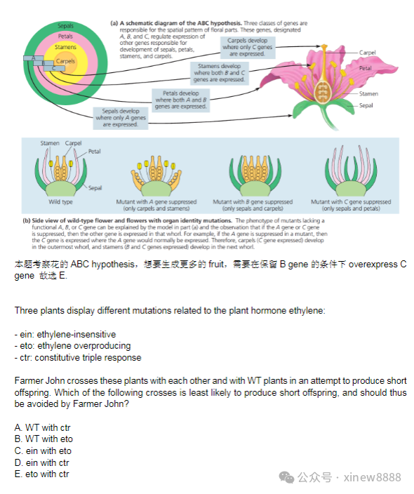 USABO&BBO生物竞赛考前冲刺班/特训班！