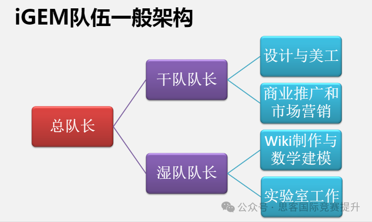 iGEM竞赛含金量真的高吗？为什么都在推荐iGEM生物比赛？