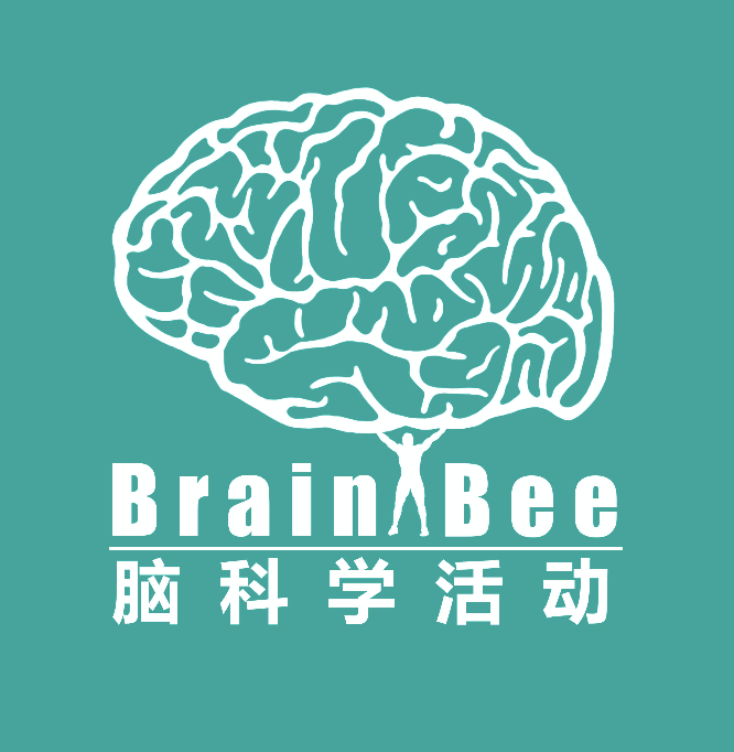 2025BrainBee地区赛结果出炉！全国站注册倒计时，附上Brainbee冲刺课程+备赛指南