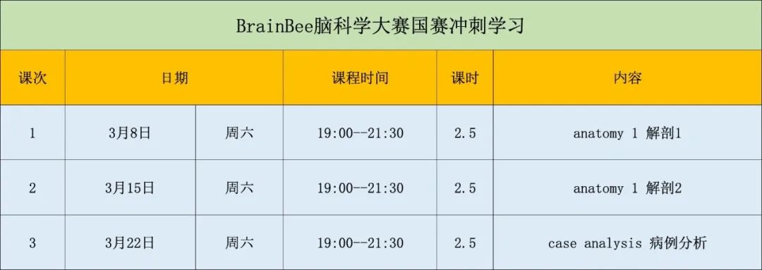 Brain Bee脑科学大赛2025国赛晋级名单公布 备赛冲刺学习报名倒计时！