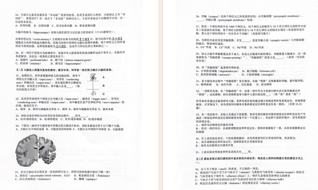 2025年Brainbee地区赛成绩查询！全国赛和地区赛有哪些区别？附Brainbee全国站课程