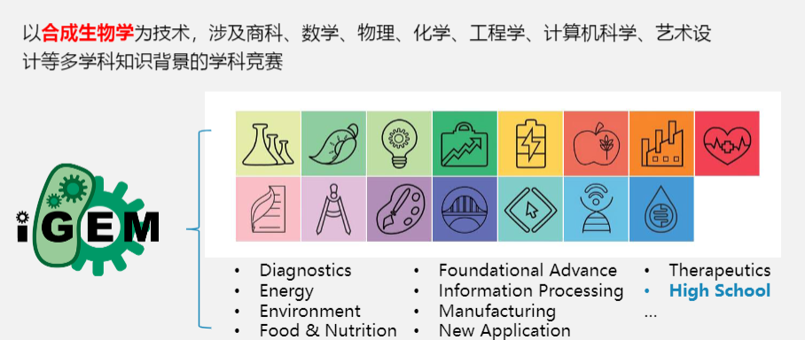 2025年iGEM竞赛一文详解 iGEM组队中&培训导师介绍