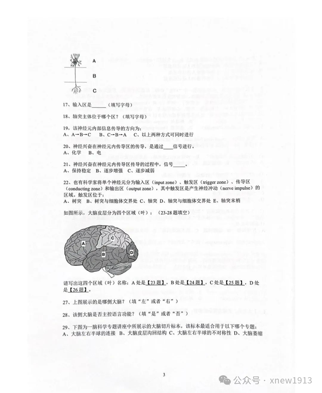 速看！2025Brainbee全国站重点信息整理！附组队+科学海报制作要点