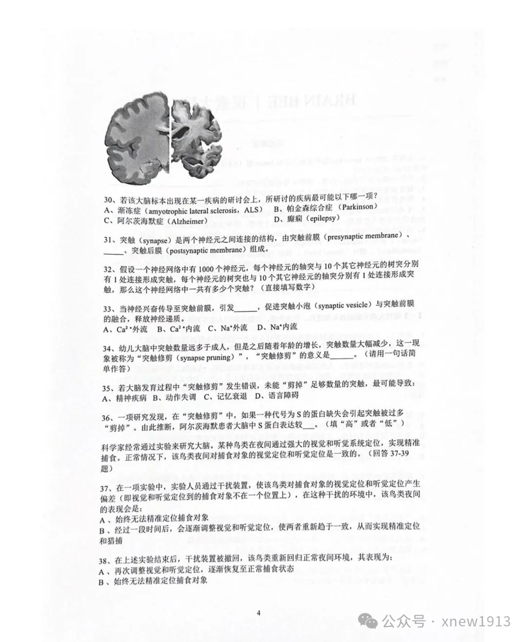 速看！2025Brainbee全国站重点信息整理！附组队+科学海报制作要点