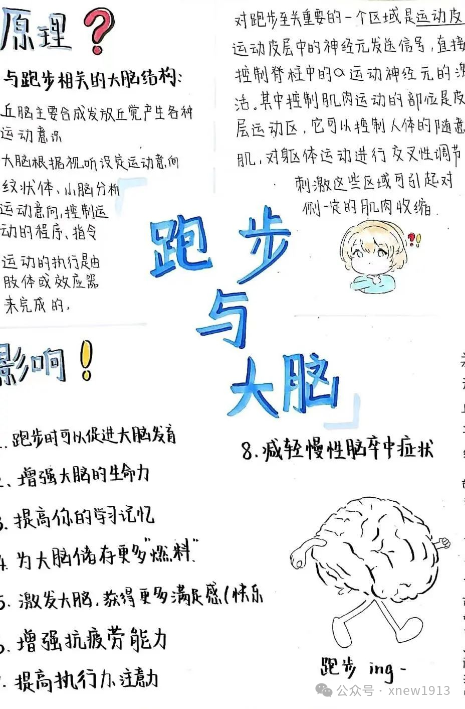 速看！2025Brainbee全国站重点信息整理！附组队+科学海报制作要点