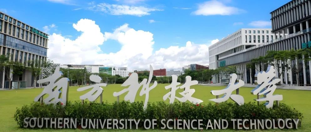 南方科技大学顶尖教授课题组(陈教授)申请攻略