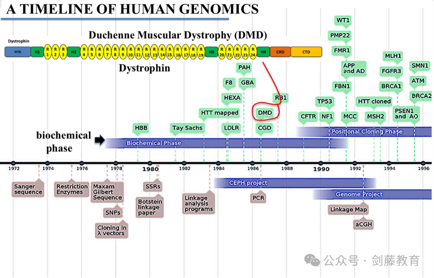 UCL生物化学工程&应用医学科学双录 | 她说：若自然拒绝愈合伤痕，我便要用科学重写规则